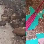 sismo en Jutiapa ,