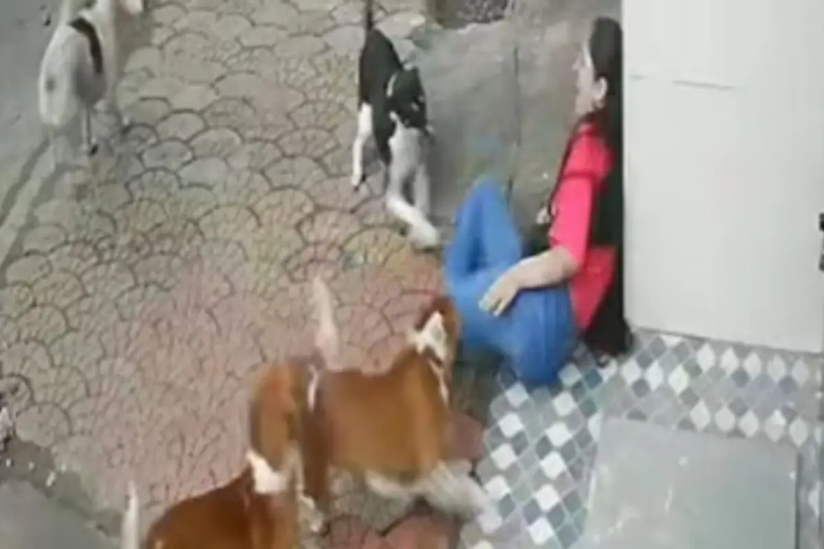 Joven es atacada por una jauría de perros., Captura de pantalla video X.