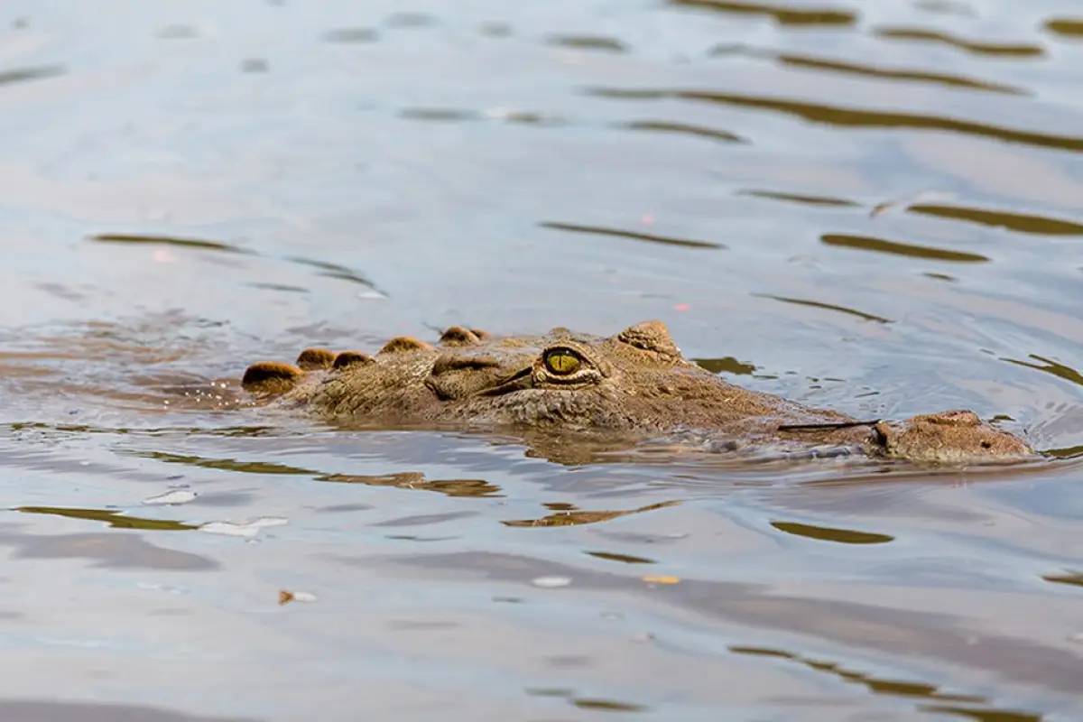 Tragedia en Indonesia., Redes sociales