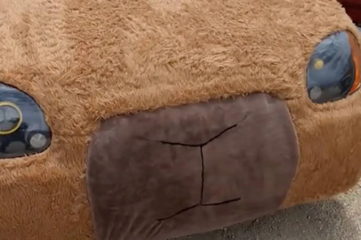 Vehículo en forma de capibara. , Captura de pantalla video de TikTok.