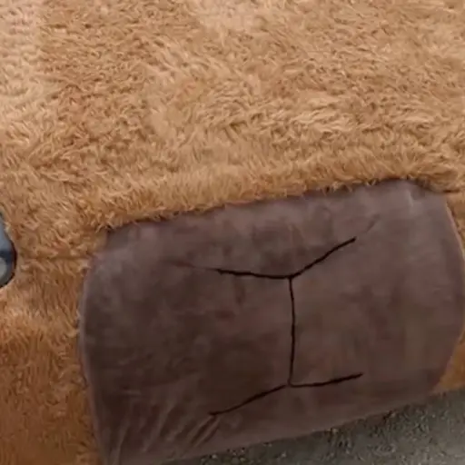 Vehículo en forma de capibara.  ,Captura de pantalla video de TikTok.