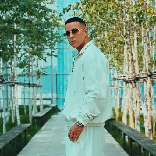 Daddy Yankee ,Redes sociales