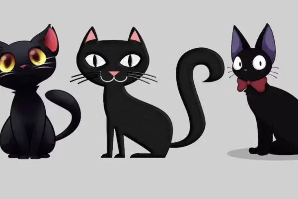 ¿Suerte o maldición? Elige uno de los gatos negros y te diremos si estás en una racha negativa