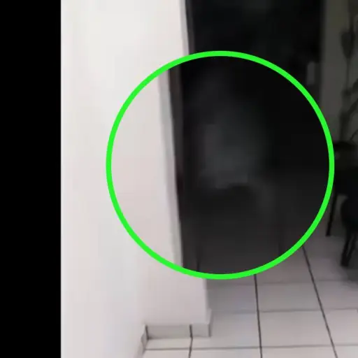 Aparición fantasmal  ,Captura de pantalla video X.