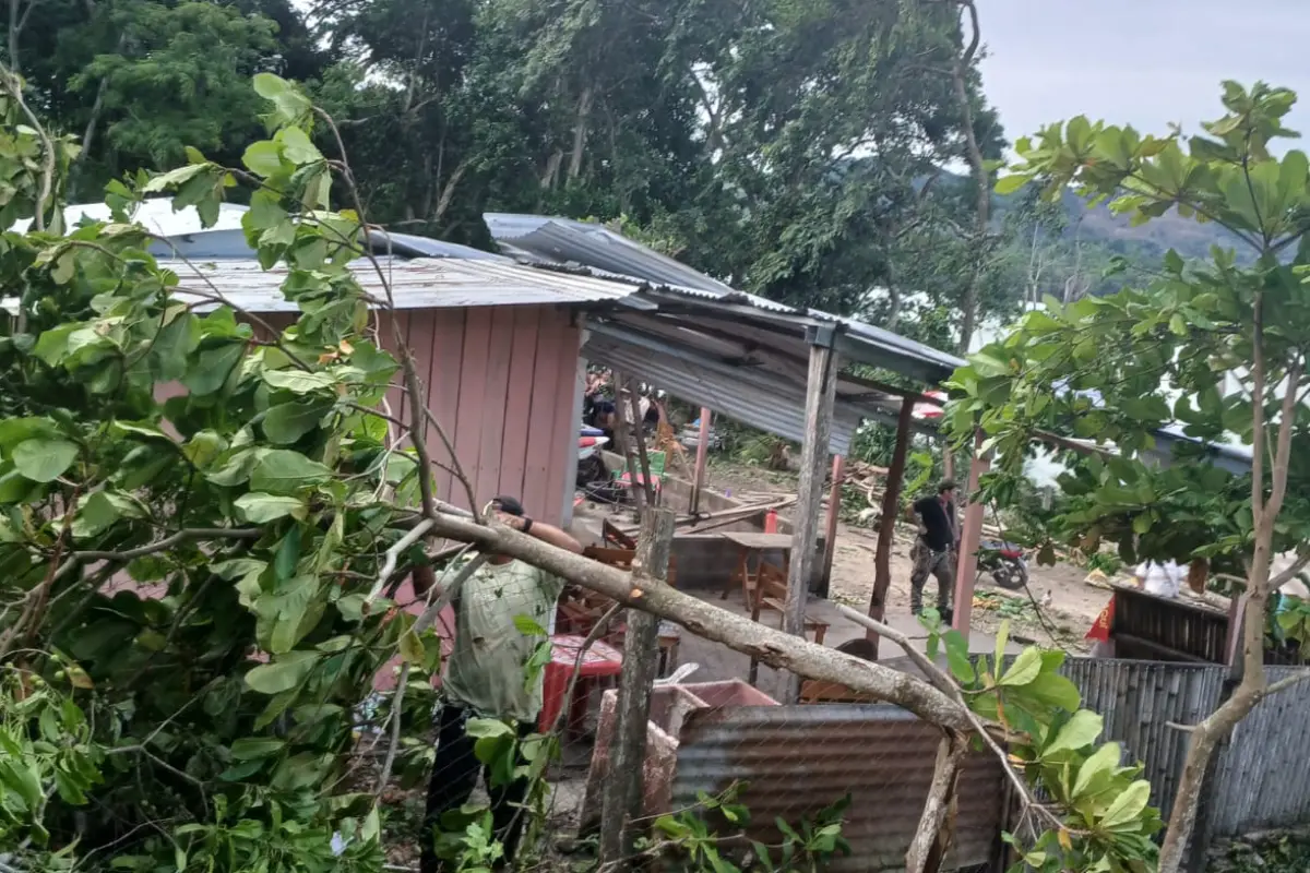 En Petén, los vientos fuertes causaron la caída de árboles, sin que se reporten heridos., Conred.