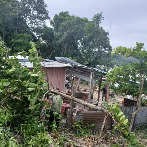 En Petén, los vientos fuertes causaron la caída de árboles, sin que se reporten heridos. ,Conred.
