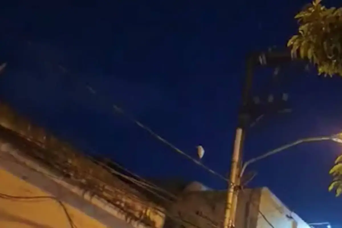 Garza sorprende a vecinos en la zona 1. , Captura de pantalla video Facebook.