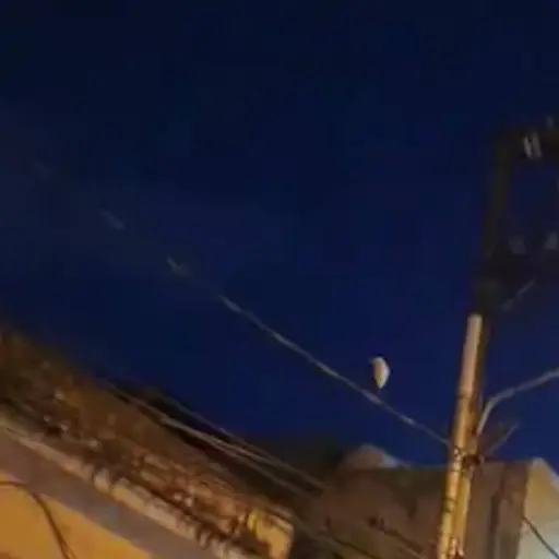 Garza sorprende a vecinos en la zona 1.  ,Captura de pantalla video Facebook.