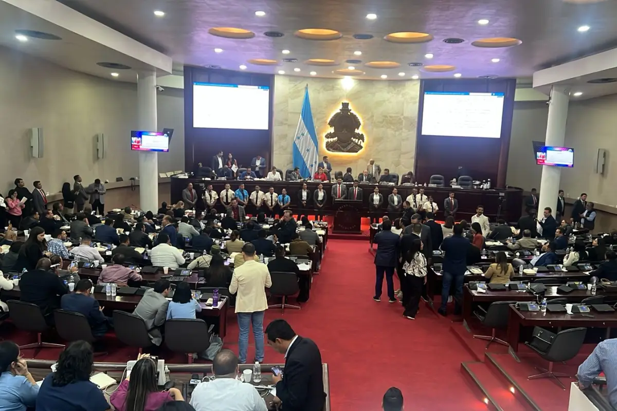 Congreso Nacional de Honduras, Foto X