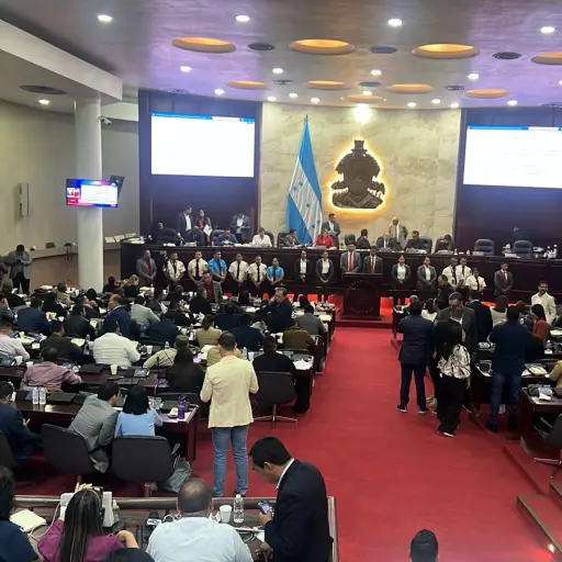 Congreso Nacional de Honduras ,Foto X