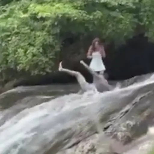 Brutal caída empaña propuesta de matrimonio. ,Captura de pantalla video X.