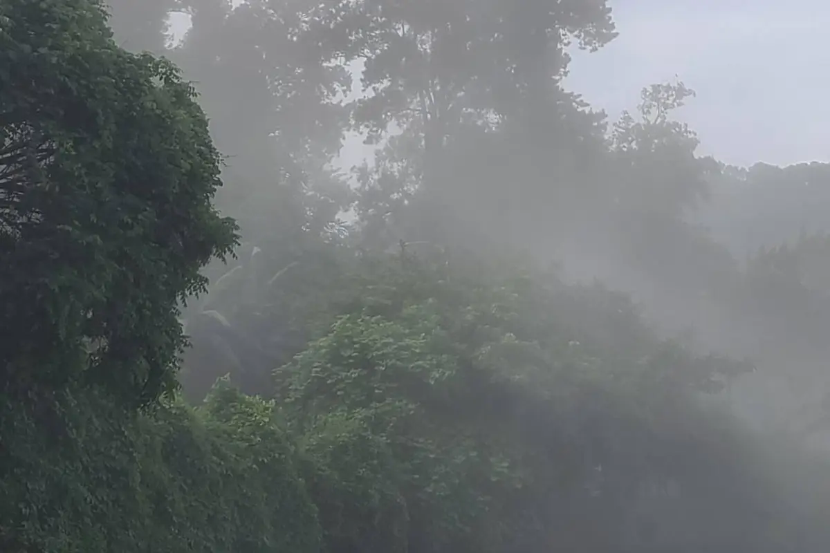 Deslizamiento de tierra tras sismo, Oliver Paniagua