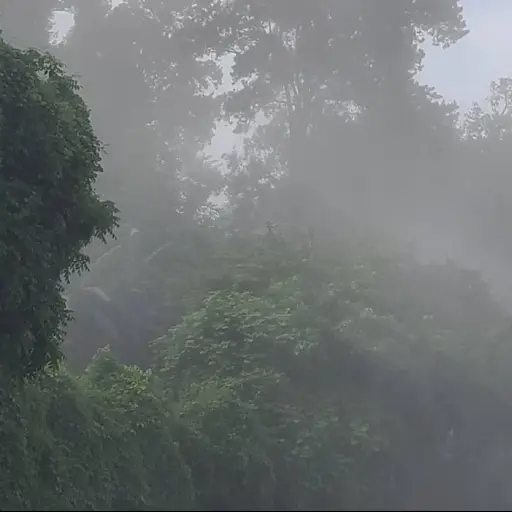 Deslizamiento de tierra tras sismo ,Oliver Paniagua