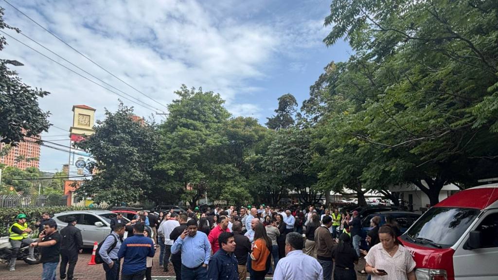 e73d2d1d-19ee-493d-8e47-553fbd38941b | 