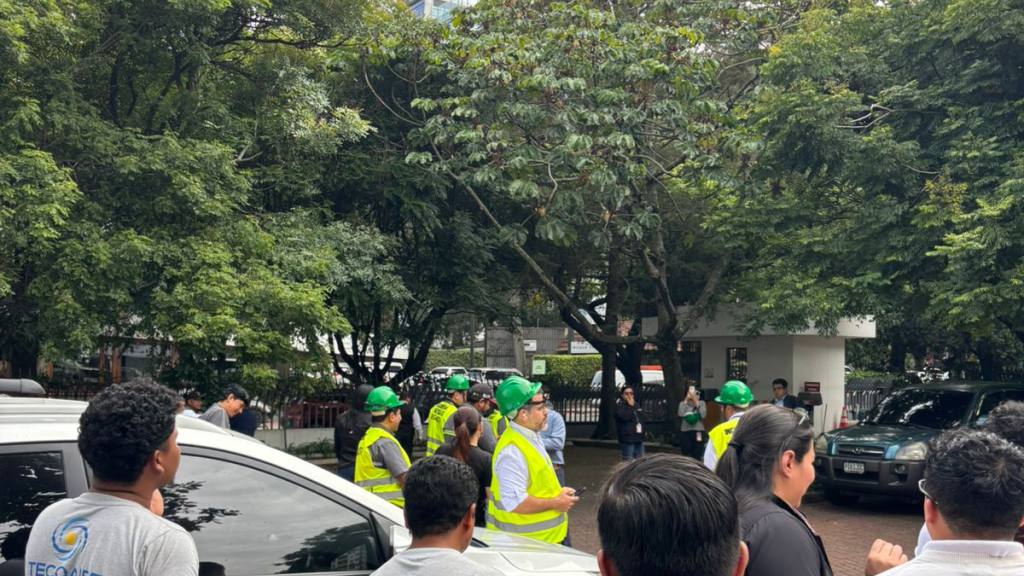 f339216d-115b-4f87-bea9-5d8e1751f5ee | 