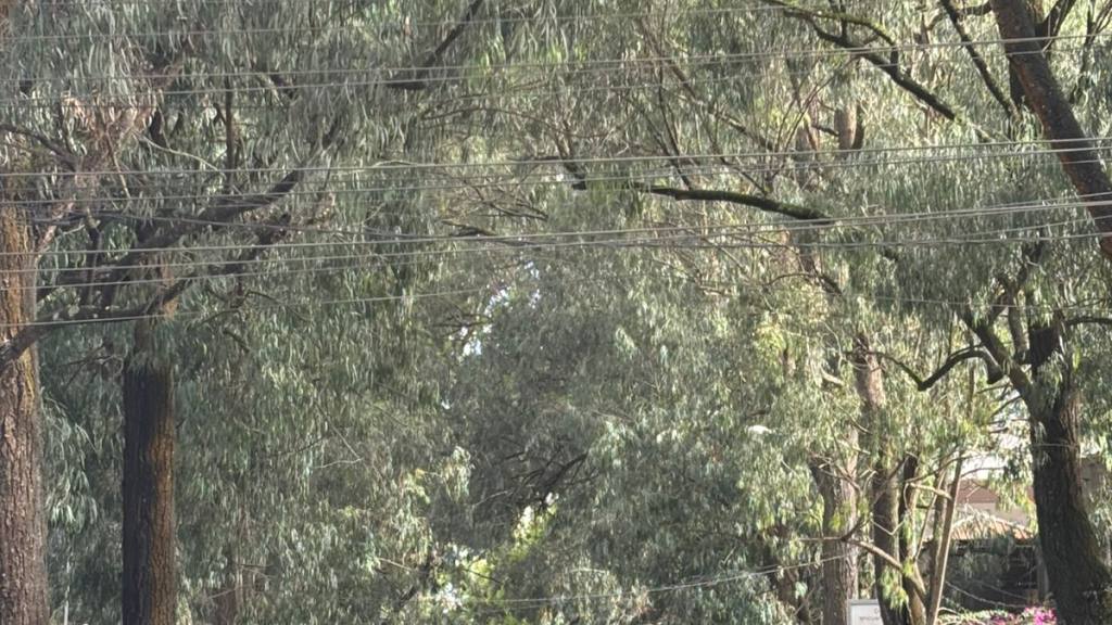 e3b38131-b427-4061-8449-b7140ec719e8 | 