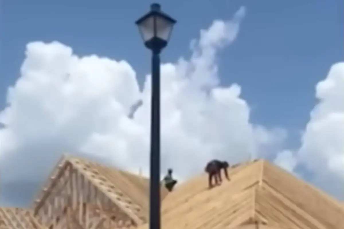 Escena de tensión y caos en Alabama., Captura de pantalla video Youtube.