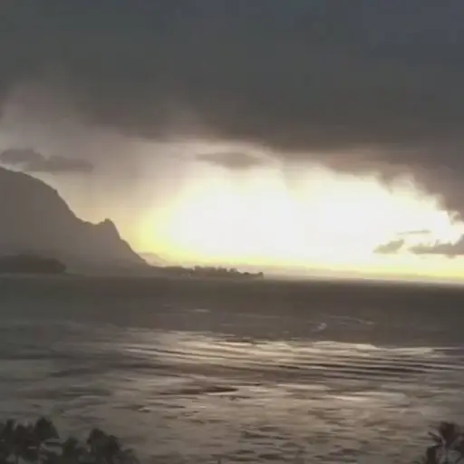 El mar se retira en Hawái tras potente terremoto. ,Captura de pantalla video X.