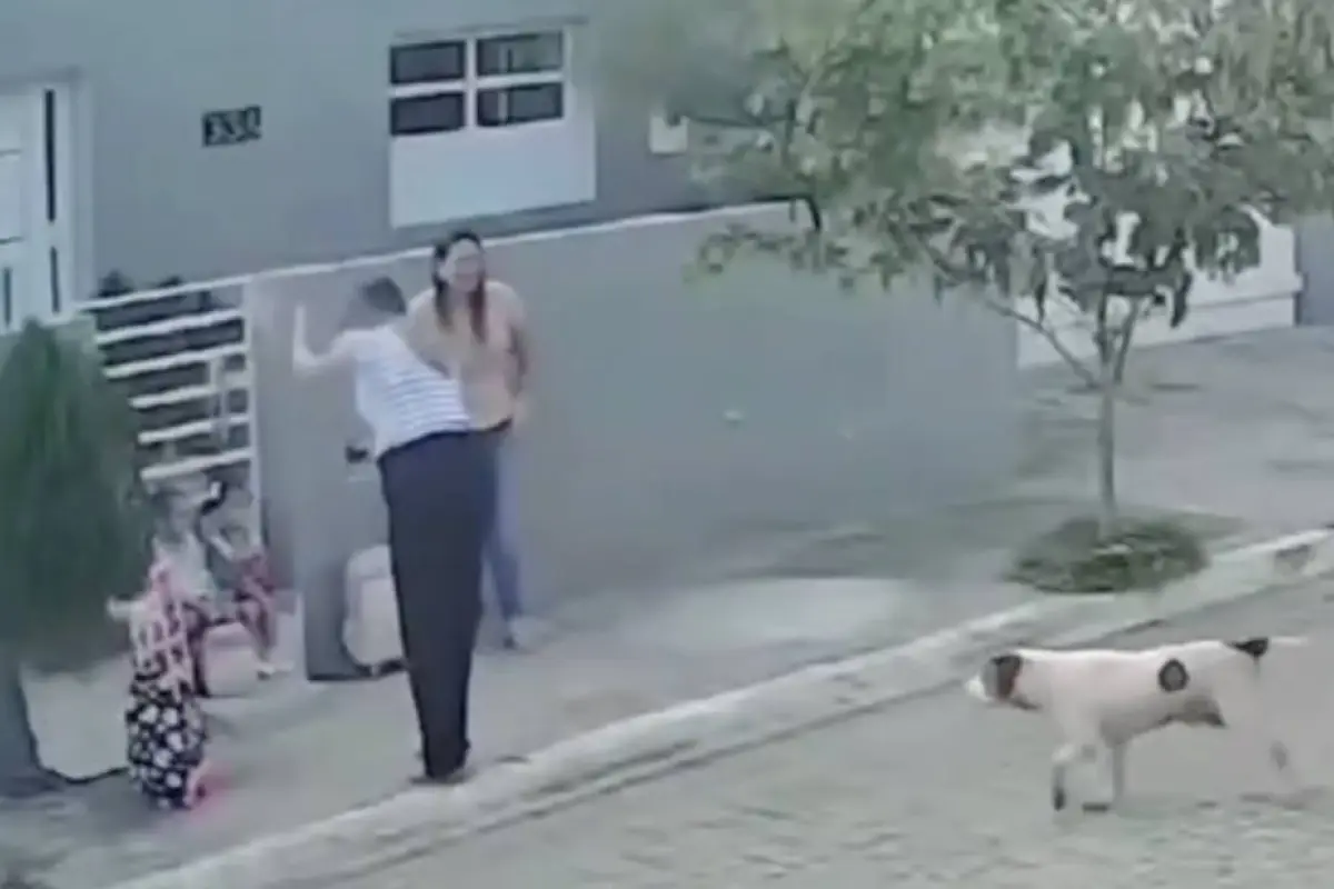 Ataque de perro captado en video. , Captura de pantalla video X.