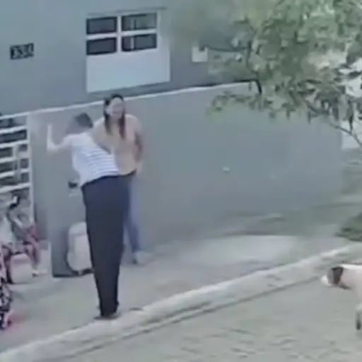 Ataque de perro captado en video.  ,Captura de pantalla video X.