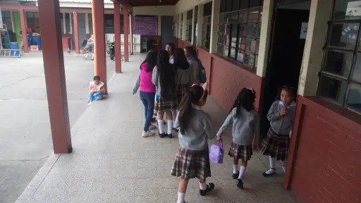 Uno de cada 4 estudiantes en Guatemala sufre acoso escolar, según informe PISA