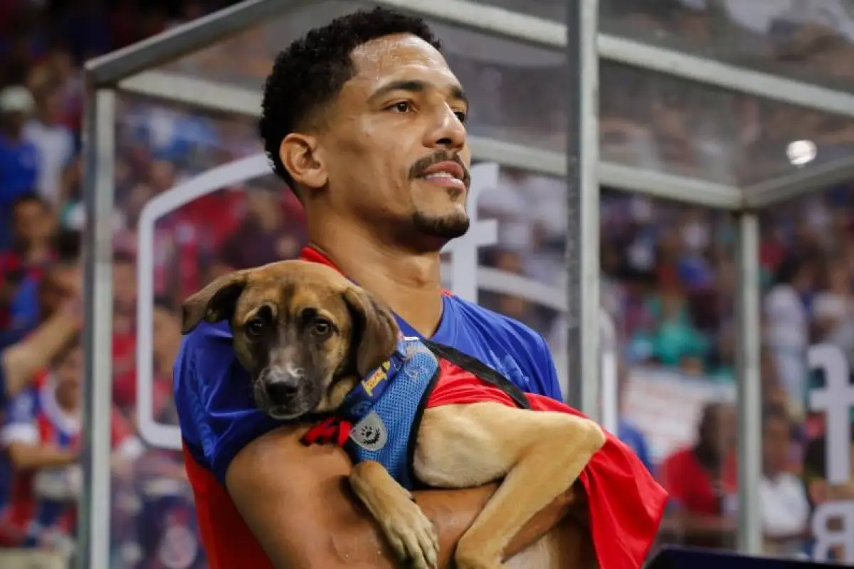 Jugadores del Bahía de Brasil saltaron al terreno de juego con perros en adopción 
