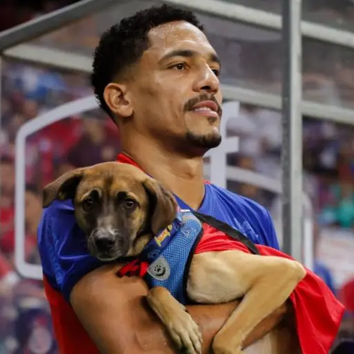 Jugadores del Bahía de Brasil saltaron al terreno de juego con perros en adopción 