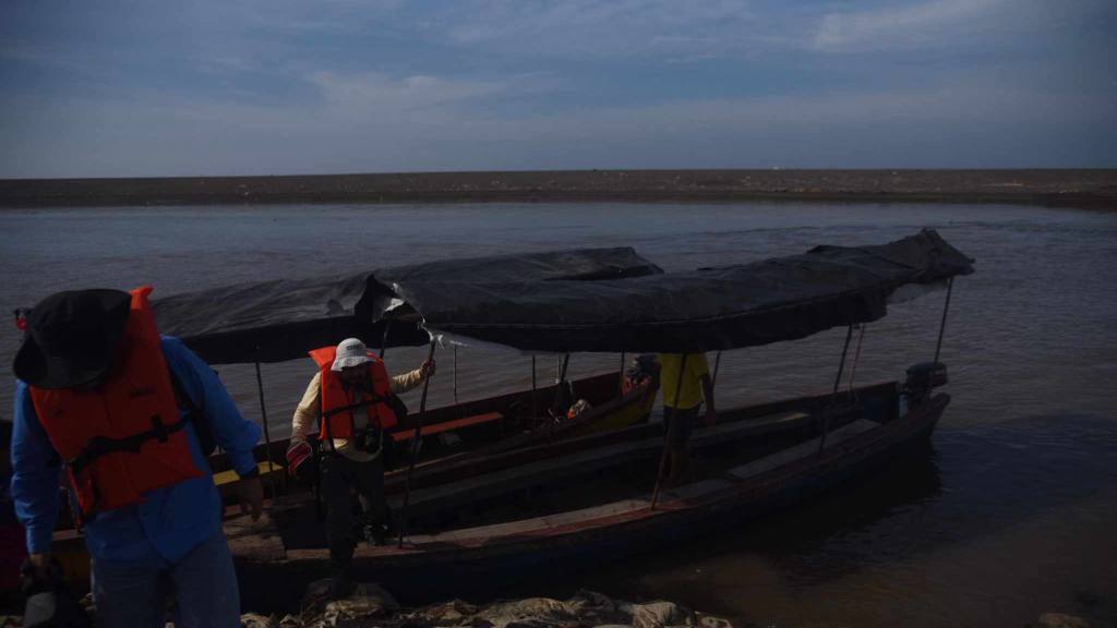 Bosque de mangle | Omar Solís