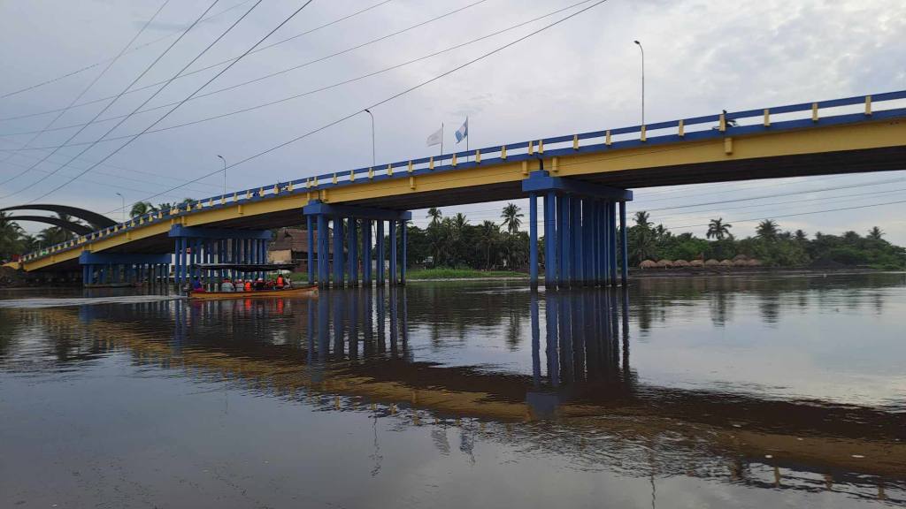 Bosque de mangle | Omar Solís 