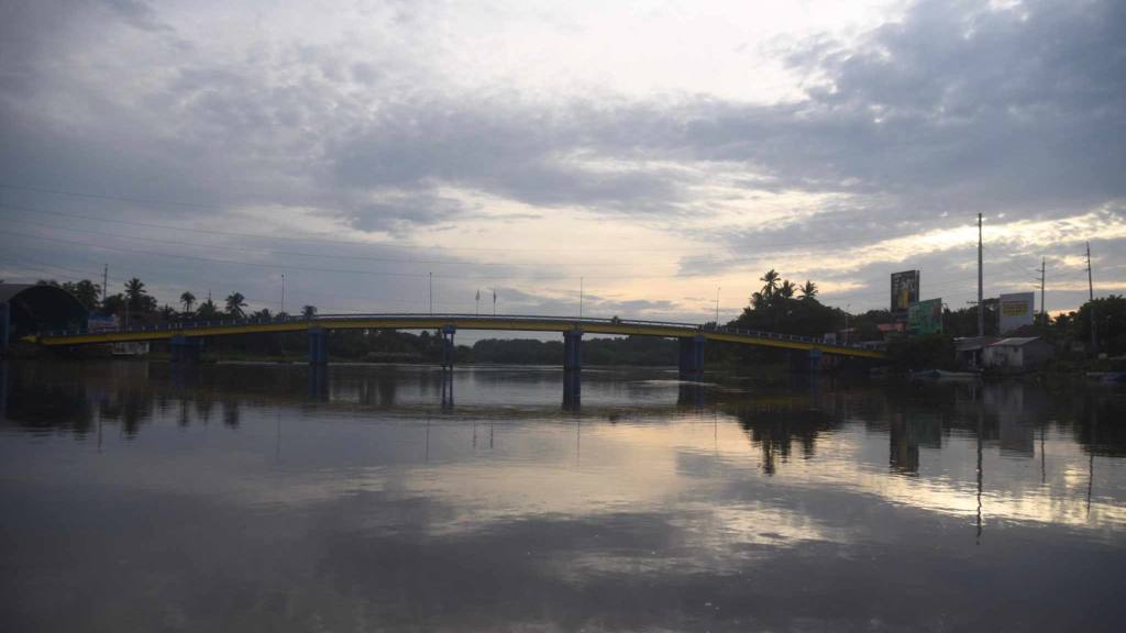 Bosque de mangle | Omar Solís 