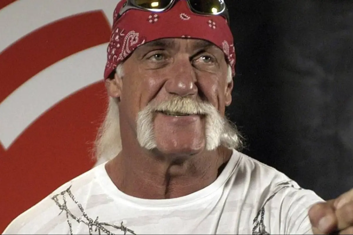 Hulk Hogan, Hulk Hogan