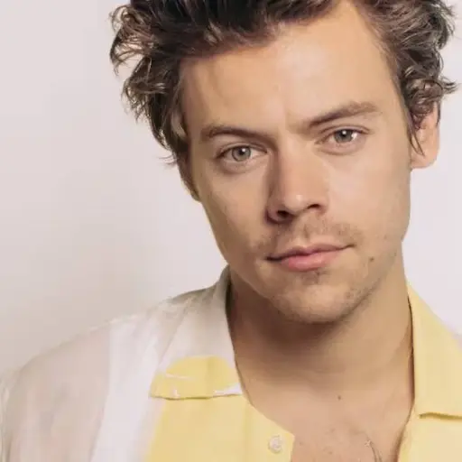 Harry Styles ,Instagram