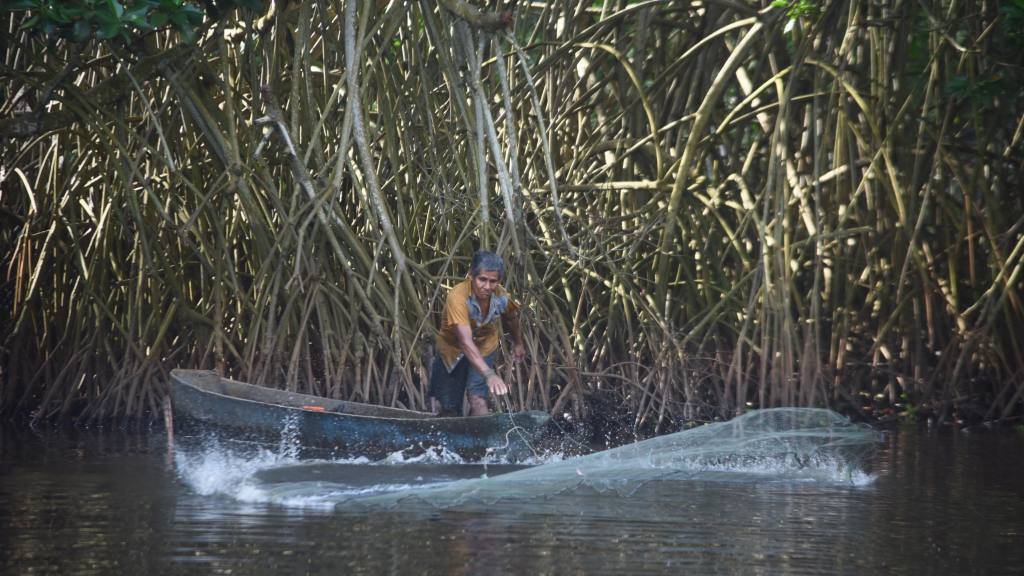  | Omar Solís, Emisoras Unidas 
