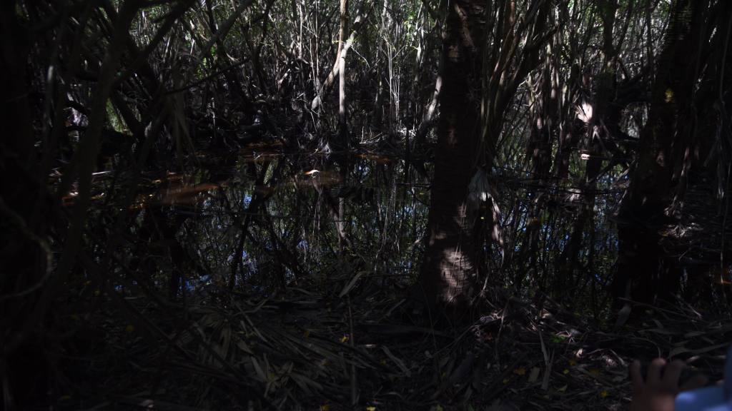  | Omar Solís, Emisoras Unidas 