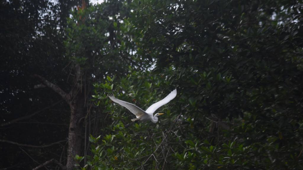  | Omar Solís, Emisoras Unidas 