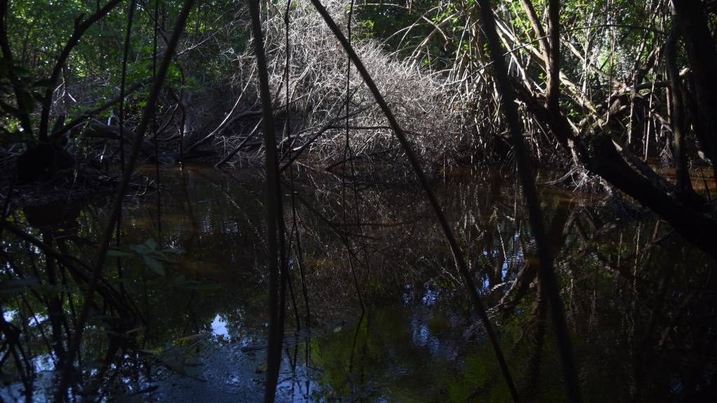  | Omar Solís, Emisoras Unidas 