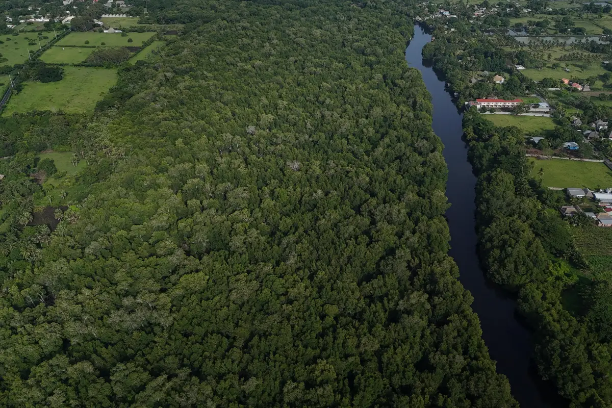 Recorrido del INAB y WWF por manglares en Guatemala., Omar Solís/Emisoras Unidas