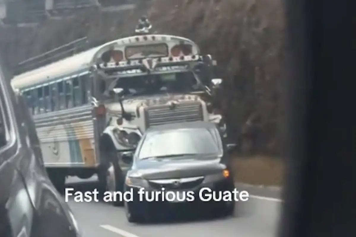 Bus y carro protagonizan video viral. , Captura de pantalla video X.