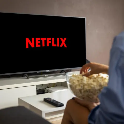 netflix, viendo la televisión, transmisión, sala de estar, netflix, netflix, netflix, netflix, netflix ,Pixabay