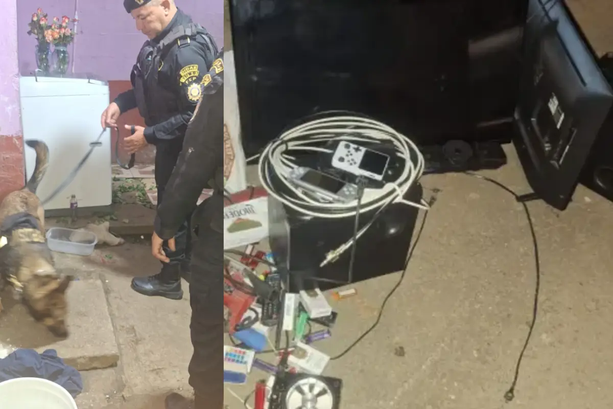 La requisa en Pavón se llevó a cabo con el apoyo de un agente canino., 