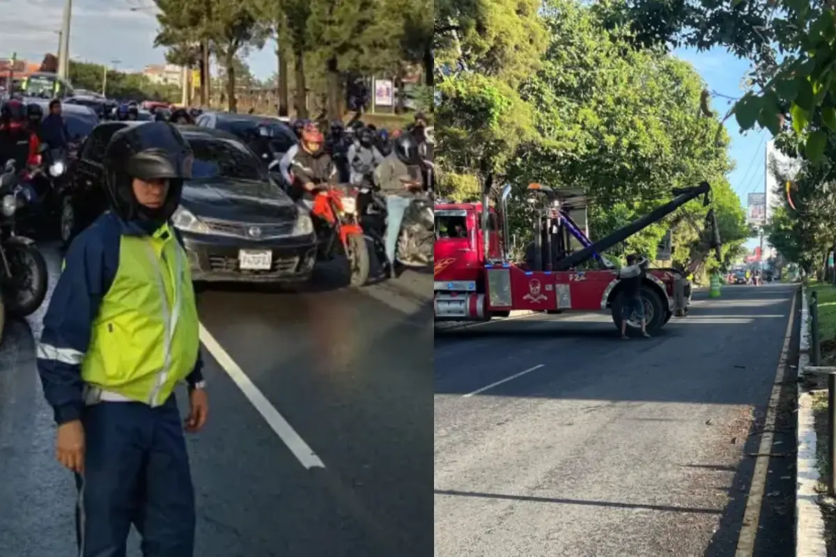 Se generó congestionamiento por el incidente en el que el vehículo de carga botó postes en la carretera., 