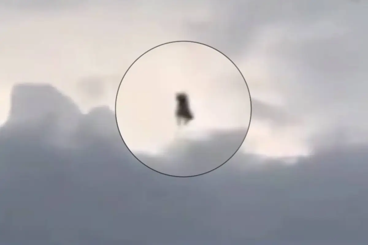 Una extraña figura humanoide., Captura de pantalla video X.