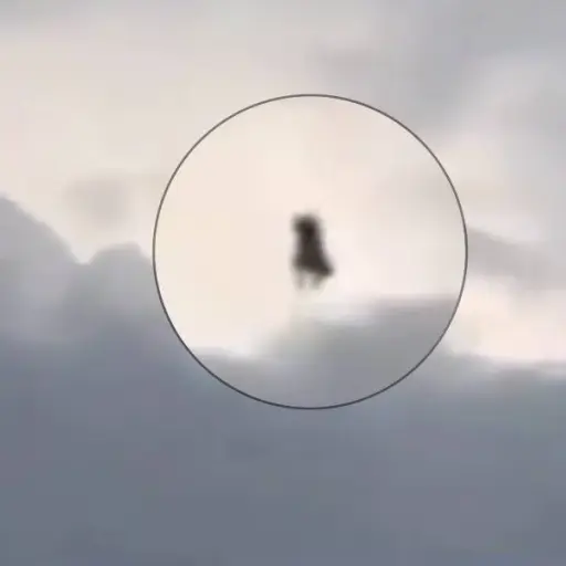 Una extraña figura humanoide. ,Captura de pantalla video X.