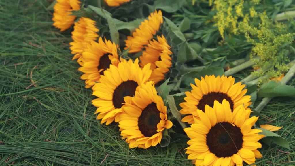 Virgen de la Asunción realiza solemne recorrido desde zona 2 | Alex Meoño