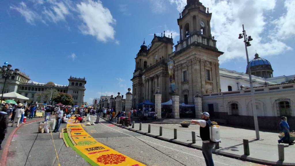 Fielesconlostoritos(2) | 