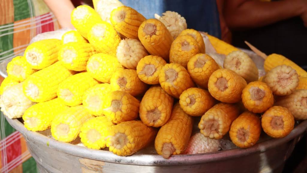 Guatemaltecos disfrutan de la Feria de Jocotenango 2025 | 