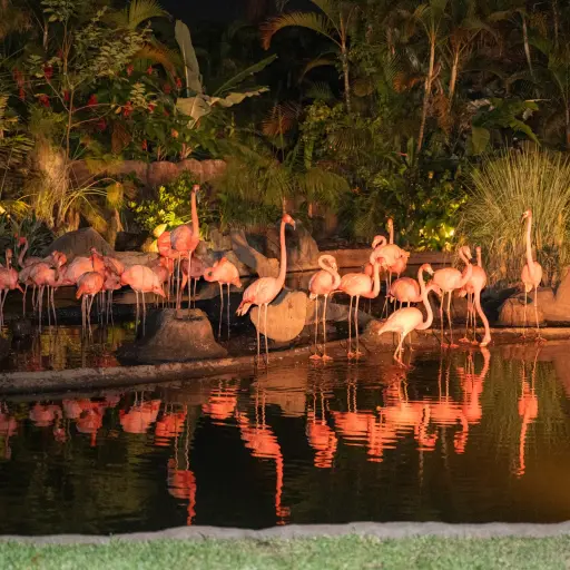 Zoológico La Aurora ,Redes sociales