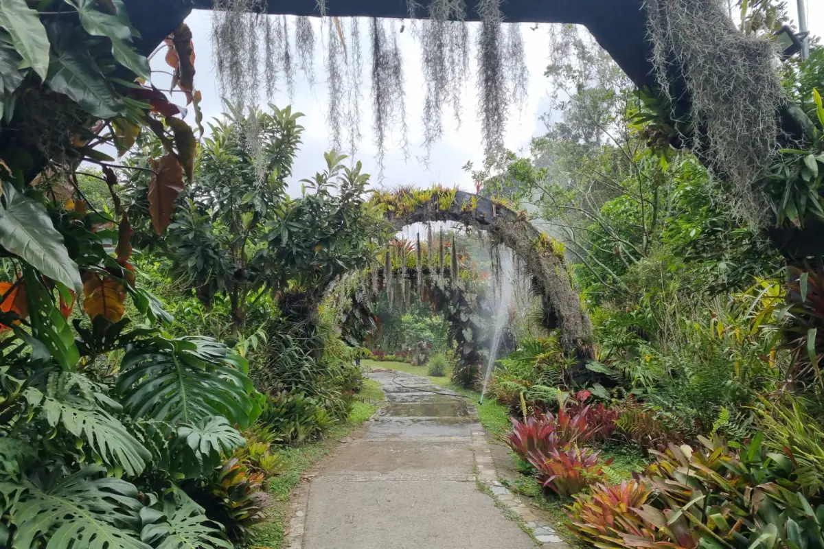 Orquideario en Parque La Asunción, Cortesía