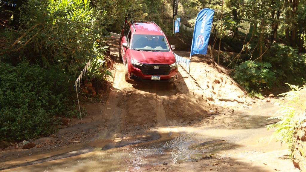 Subaru Forester 2026  | Alejandro Meoño