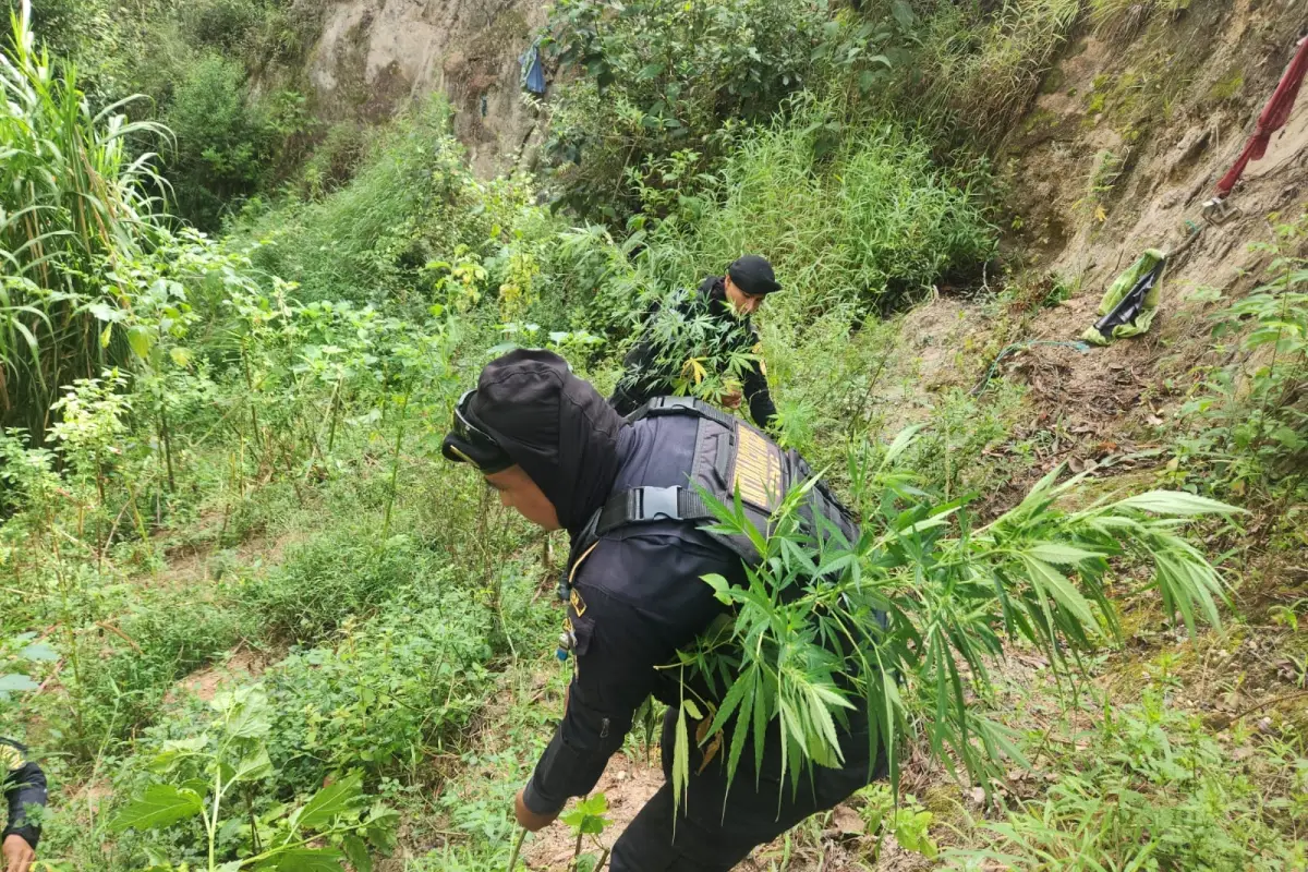 La droga fue incinerada por agentes de la SGAIA., PNC de Guatemala.
